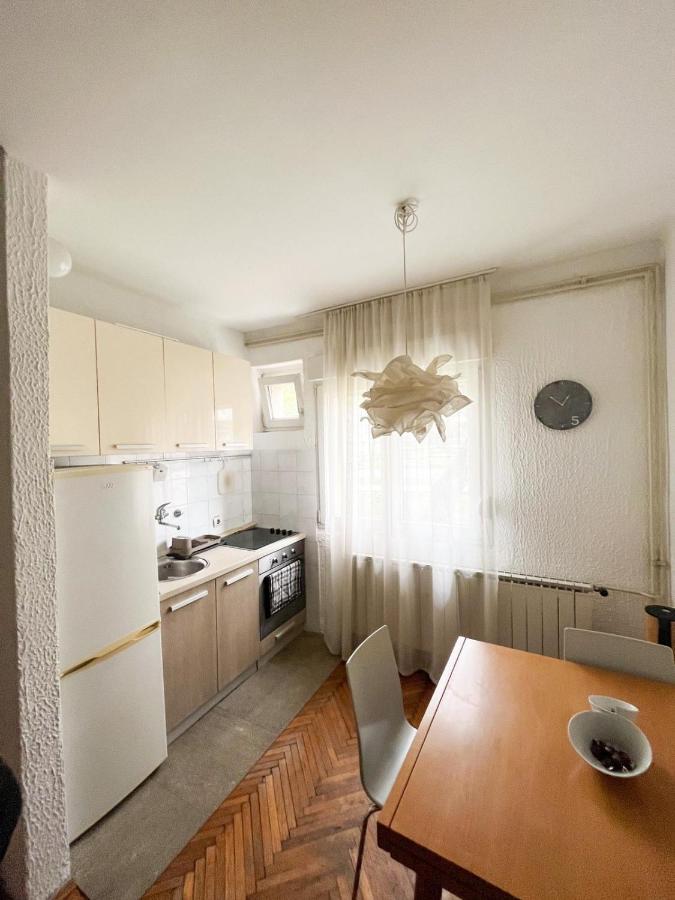 Appartamento Kopernik - Parking Available Belgrado Esterno foto